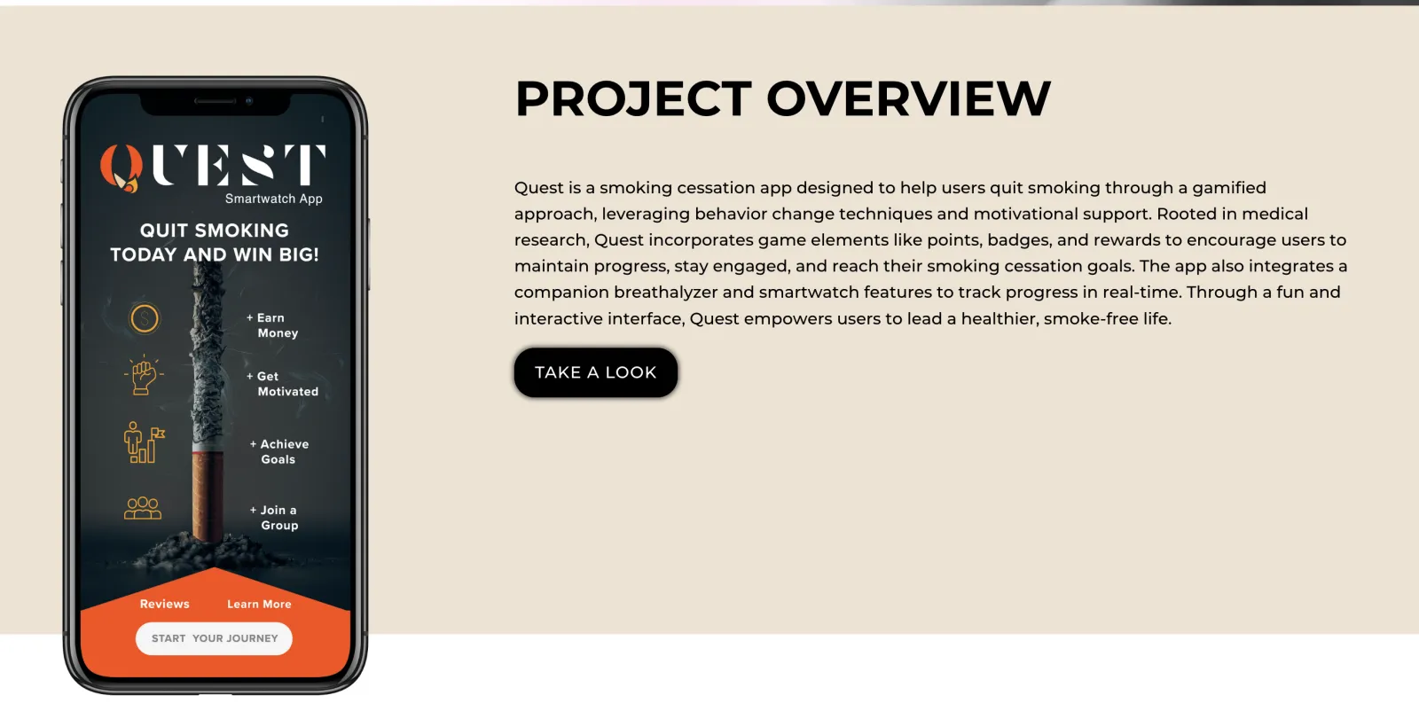 Diona Nicole Design Studio website screenshot